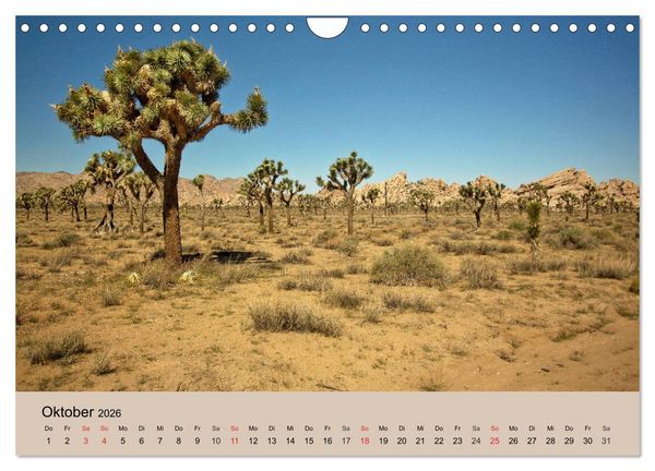 Produktbild: Faszination USA - traumhafter S&uuml;dwesten (Wandkalender 2026 DIN A4 quer), CALVENDO Monatskalender