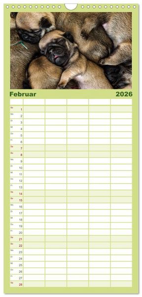 Produktbild: Familienplaner 2026 - Mopswelpen mit 5 Spalten (Wandkalender, 21 x 45 cm) CALVENDO