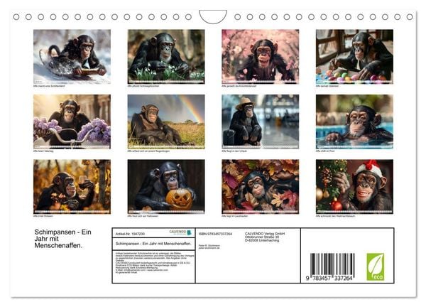Produktbild: Schimpansen - Ein Jahr mit Menschenaffen. (Wandkalender 2026 DIN A4 quer), CALVENDO Monatskalender