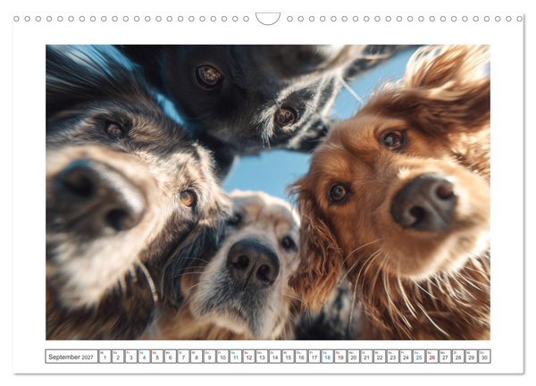 Produktbild: WUFF und WOW (Wandkalender 2027 DIN A3 quer), CALVENDO Monatskalender