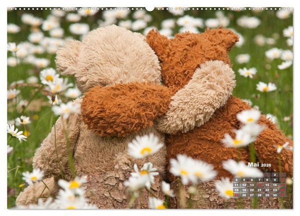 Produktbild: Geliebte B&auml;ren - Teddys (Wandkalender 2026 DIN A2 quer), CALVENDO Monatskalender