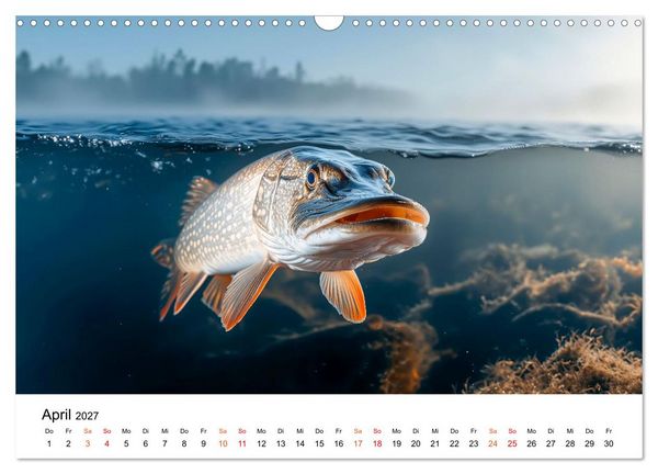 Produktbild: Hecht - J&auml;ger der Tiefe (Wandkalender 2027 DIN A3 quer), CALVENDO Monatskalender