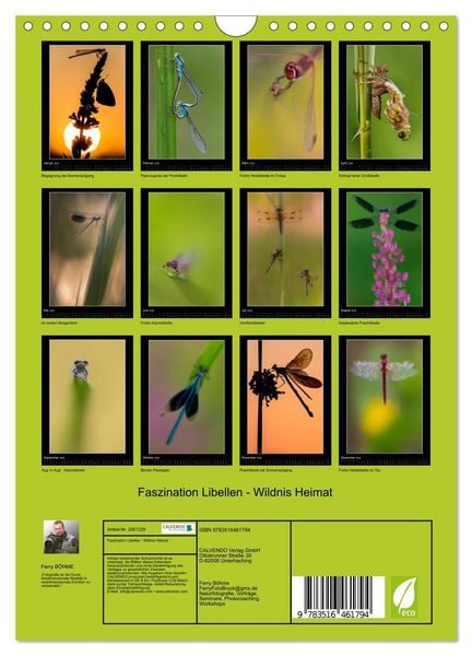 Produktbild: Faszination Libellen - Wildnis Heimat (Wandkalender 2026 DIN A4 hoch), CALVENDO Monatskalender