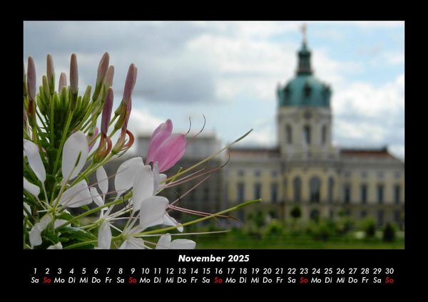 Produktbild: Blumenkalender 2025 Fotokalender DIN A3