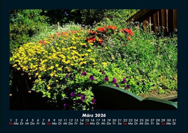 Produktbild: Blumenkalender 2026 Fotokalender DIN A4