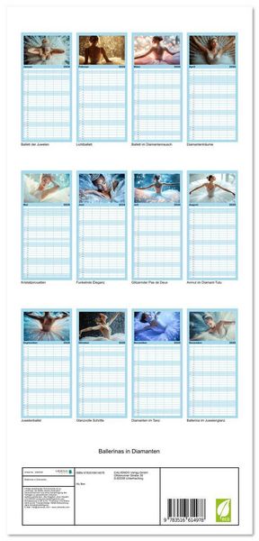 Produktbild: Familienplaner 2026 - Ballerinas in Diamanten mit 5 Spalten (Wandkalender, 21 x 45 cm) CALVENDO