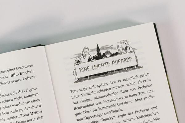 Produktbild: Gespensterj&auml;ger in gro&szlig;er Gefahr (Band 4) - Mit 8 neu illustrierten Farbseiten