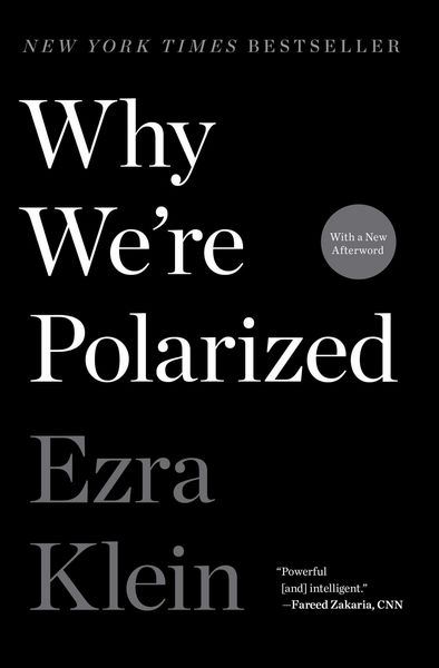 Produktbild: Why We're Polarized