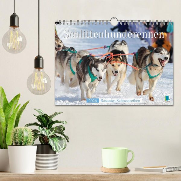 Produktbild: Schlittenhunderennen: Rasantes Schneetreiben (Wandkalender 2026 DIN A4 quer), CALVENDO Monatskalender