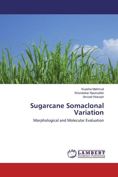 Produktbild: Sugarcane Somaclonal Variation