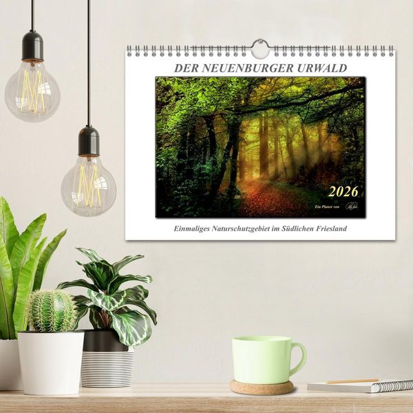 Produktbild: Der Neuenburger Urwald (Wandkalender 2026 DIN A4 quer), CALVENDO Monatskalender