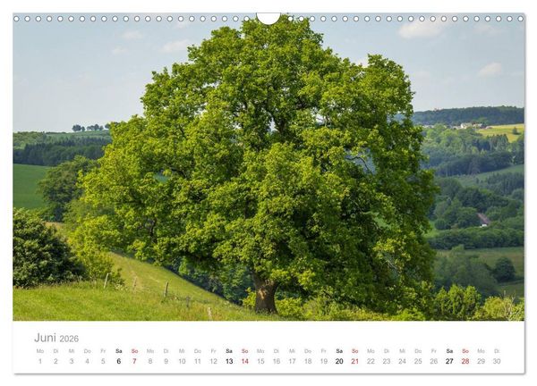 Produktbild: M&auml;rkisches Sauerland (Wandkalender 2026 DIN A3 quer), CALVENDO Monatskalender
