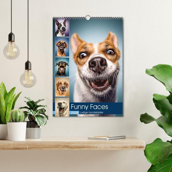 Produktbild: Funny Faces - Lustige Hundebilder (Wandkalender 2026 DIN A3 hoch), CALVENDO Monatskalender
