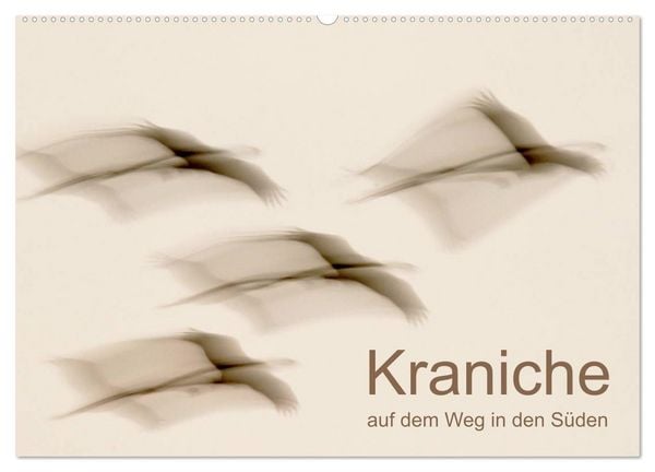 Kraniche auf dem Weg nach Süden (Wandkalender 2026 DIN A2 quer), CALVENDO Monatskalender