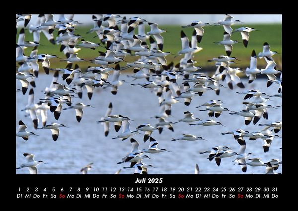 Produktbild: Nordsee 2025 Fotokalender DIN A3