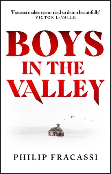 Produktbild: Boys in the Valley