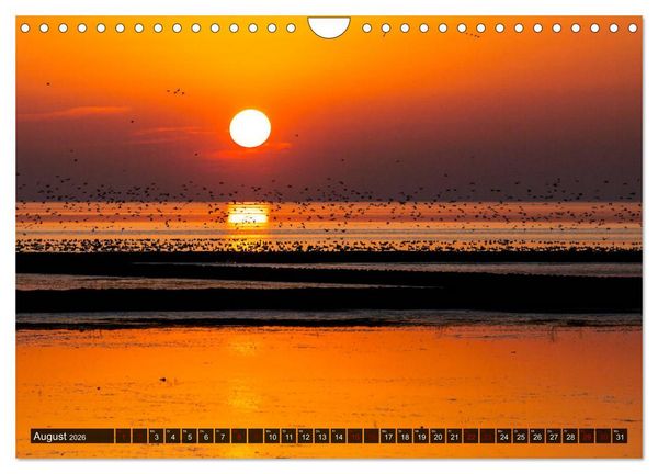 Produktbild: Wattenmeer Nordsee - Lichtstimmungen zwischen Land und Meer (Wandkalender 2026 DIN A4 quer), CALVENDO Monatskalender