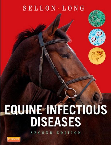 Produktbild: Equine Infectious Diseases E-Book