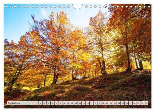 Produktbild: Herbstflammen im Karwendel- und Wettersteingebirge (Wandkalender 2026 DIN A4 quer), CALVENDO Monatskalender