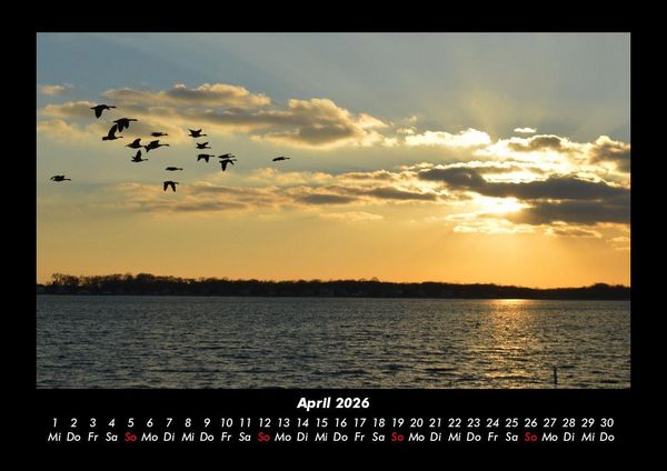 Produktbild: Bilder aus der Natur 2026 Fotokalender DIN A3