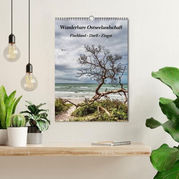 Produktbild: Wunderbare Ostseelandschaft Fischland-Dar&szlig;-Zingst (Wandkalender 2026 DIN A3 hoch), CALVENDO Monatskalender