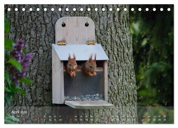 Produktbild: Spa&szlig; mit Eichh&ouml;rnchen-Kindern (Tischkalender 2026 DIN A5 quer), CALVENDO Monatskalender