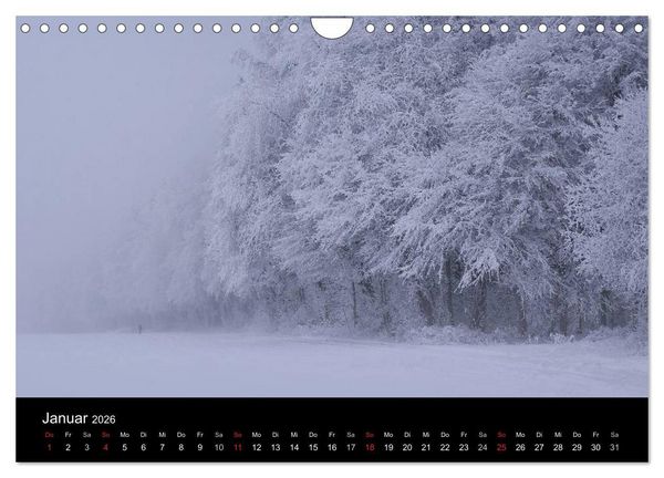 Produktbild: Mysterium Wald (Wandkalender 2026 DIN A4 quer), CALVENDO Monatskalender