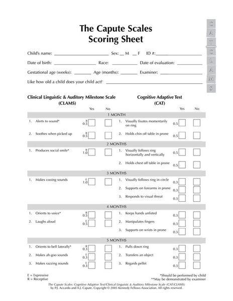 Produktbild: The Capute Scales Scoring Sheets
