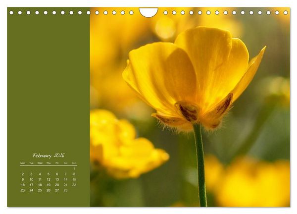 Produktbild: Vibrancy of flowers (Wall Calendar 2026 DIN A4 landscape), CALVENDO 12 Month Wall Calendar