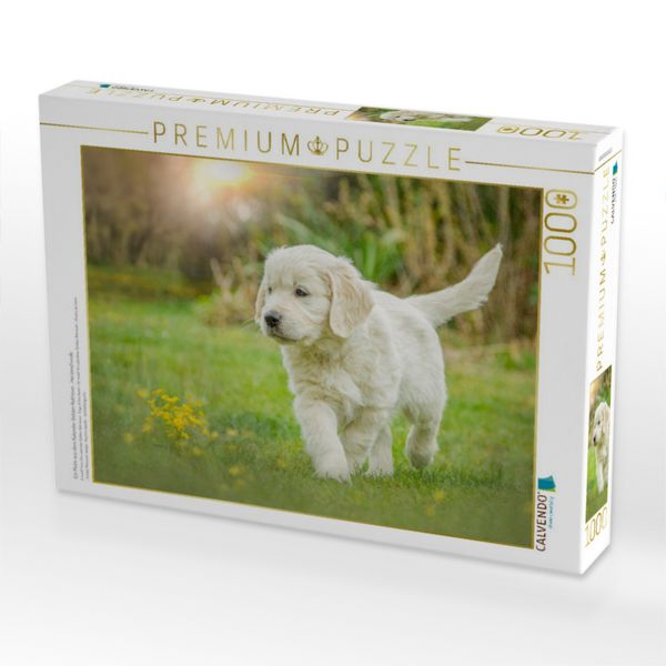 Produktbild: CALVENDO Puzzle Ein Motiv aus dem Kalender Golden Retriever... Herzenshunde | 1000 Teile Lege-Gr&ouml;&szlig;e 64x48cm Foto-Puzzle f&uuml;r gl&uuml;ckliche Stunden