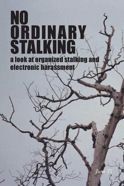 Produktbild: No Ordinary Stalking