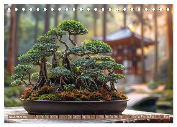Produktbild: Bonsai meditativ (Tischkalender 2026 DIN A5 quer), CALVENDO Monatskalender