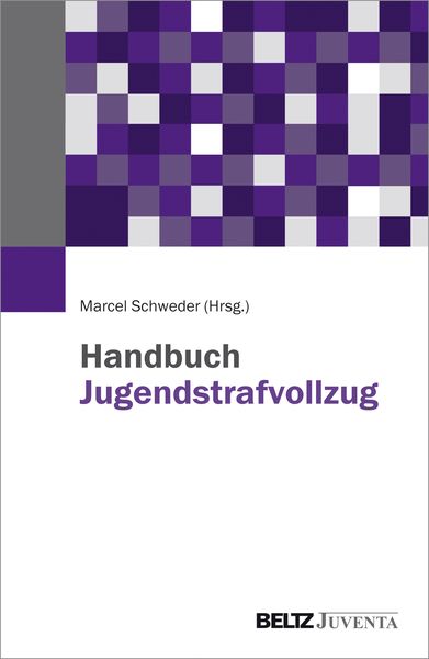 Produktbild: Handbuch Jugendstrafvollzug