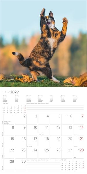 Produktbild: Funny Cats 2027