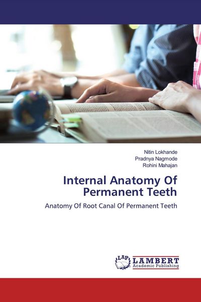 Produktbild: Internal Anatomy Of Permanent Teeth