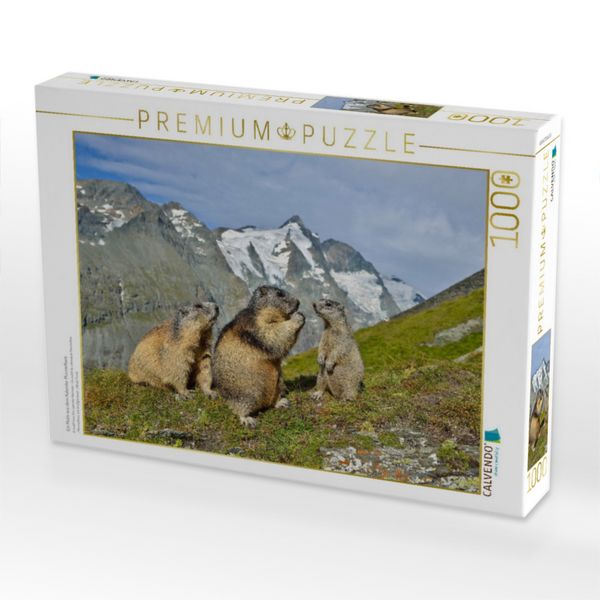 Produktbild: Ein Motiv aus dem Kalender Murmeltiere (Puzzle)