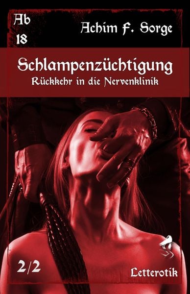 Produktbild: Schlampenz&uuml;chtigung: R&uuml;ckkehr in die Nervenklinik