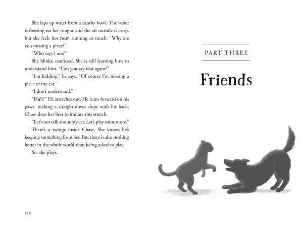 Produktbild: The Unlikely Tale of Chase and Finnegan