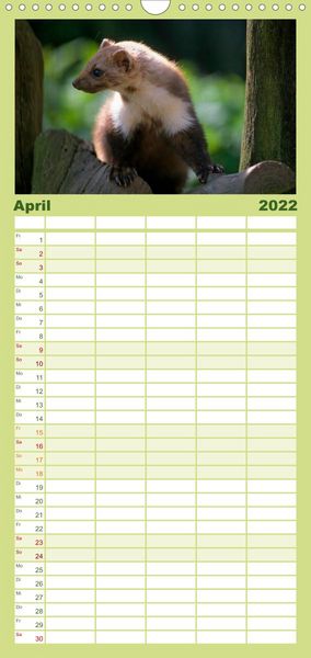 Produktbild: Familienplaner Tiere des Waldes (Wandkalender 2022 , 21 cm x 45 cm, hoch)