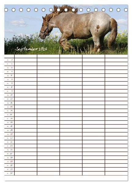 Produktbild: Der Kaltblut-Familienplaner (Tischkalender 2026 DIN A5 hoch), CALVENDO Monatskalender