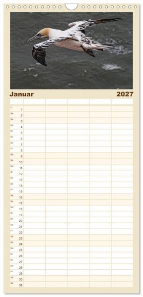 Produktbild: Familienplaner 2027 - Helgoland und die D&uuml;ne mit 5 Spalten (Wandkalender, 21 x 45 cm) CALVENDO