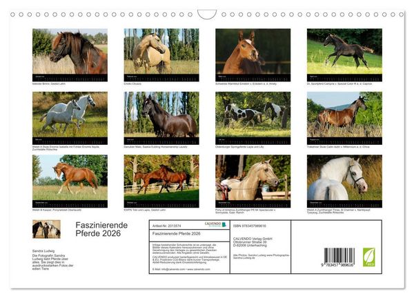 Produktbild: Faszinierende Pferde 2026 (Wandkalender 2026 DIN A3 quer), CALVENDO Monatskalender