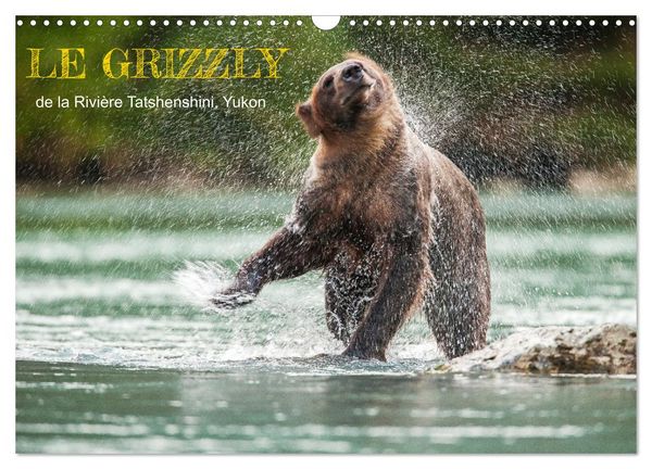 LE GRIZZLY de la Rivière Tatshenshini. Yukon (Calendrier mural 2026 DIN A3 vertical), CALVENDO calendrier mensuel