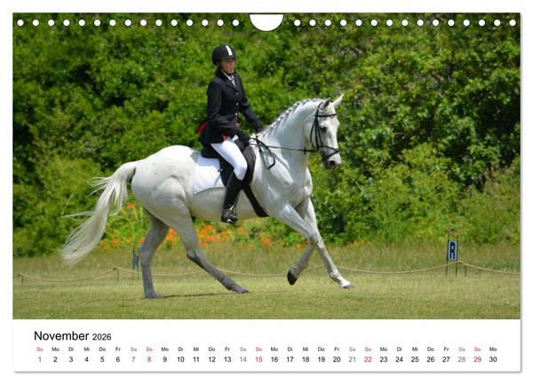 Produktbild: Vielseitigkeitsreiten (Wandkalender 2026 DIN A4 quer), CALVENDO Monatskalender