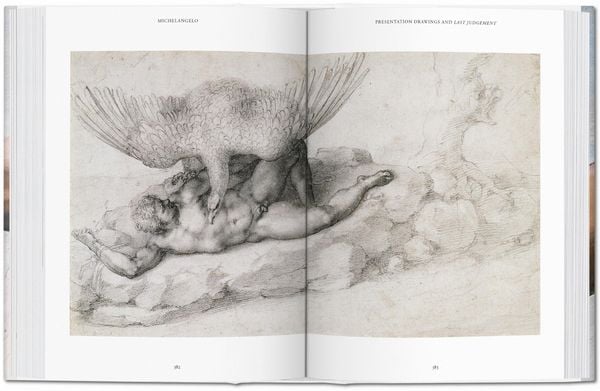 Produktbild: Michelangelo. Das vollständige Werk. Malerei, Skulptur, Architektur