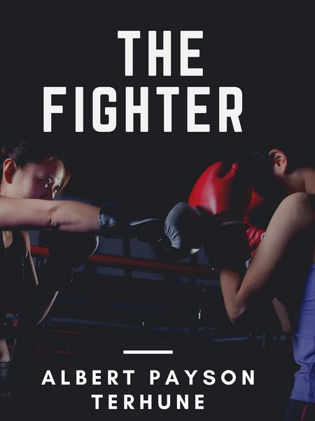Produktbild: The Fighter