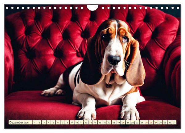 Produktbild: Basset Hound - unverkennbar (Wandkalender 2026 DIN A4 quer), CALVENDO Monatskalender