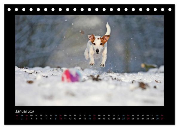 Produktbild: MIXlinge (Tischkalender 2027 DIN A5 quer), CALVENDO Monatskalender