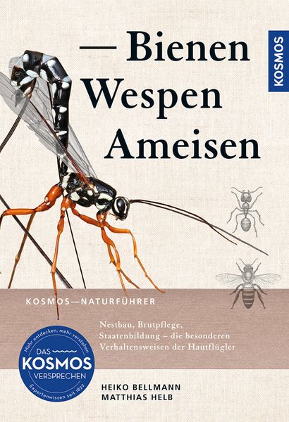 Produktbild: Bienen, Wespen, Ameisen