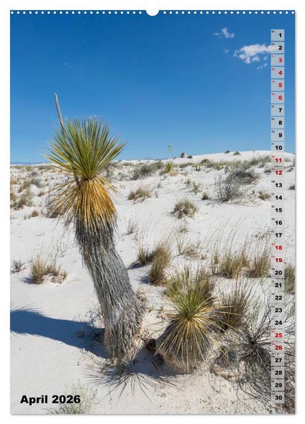 Produktbild: WHITE SANDS NATIONAL MONUMENT W&uuml;stenimpressionen (hochwertiger Premium Wandkalender 2026 DIN A2 hoch), Kunstdruck in Hochglanz